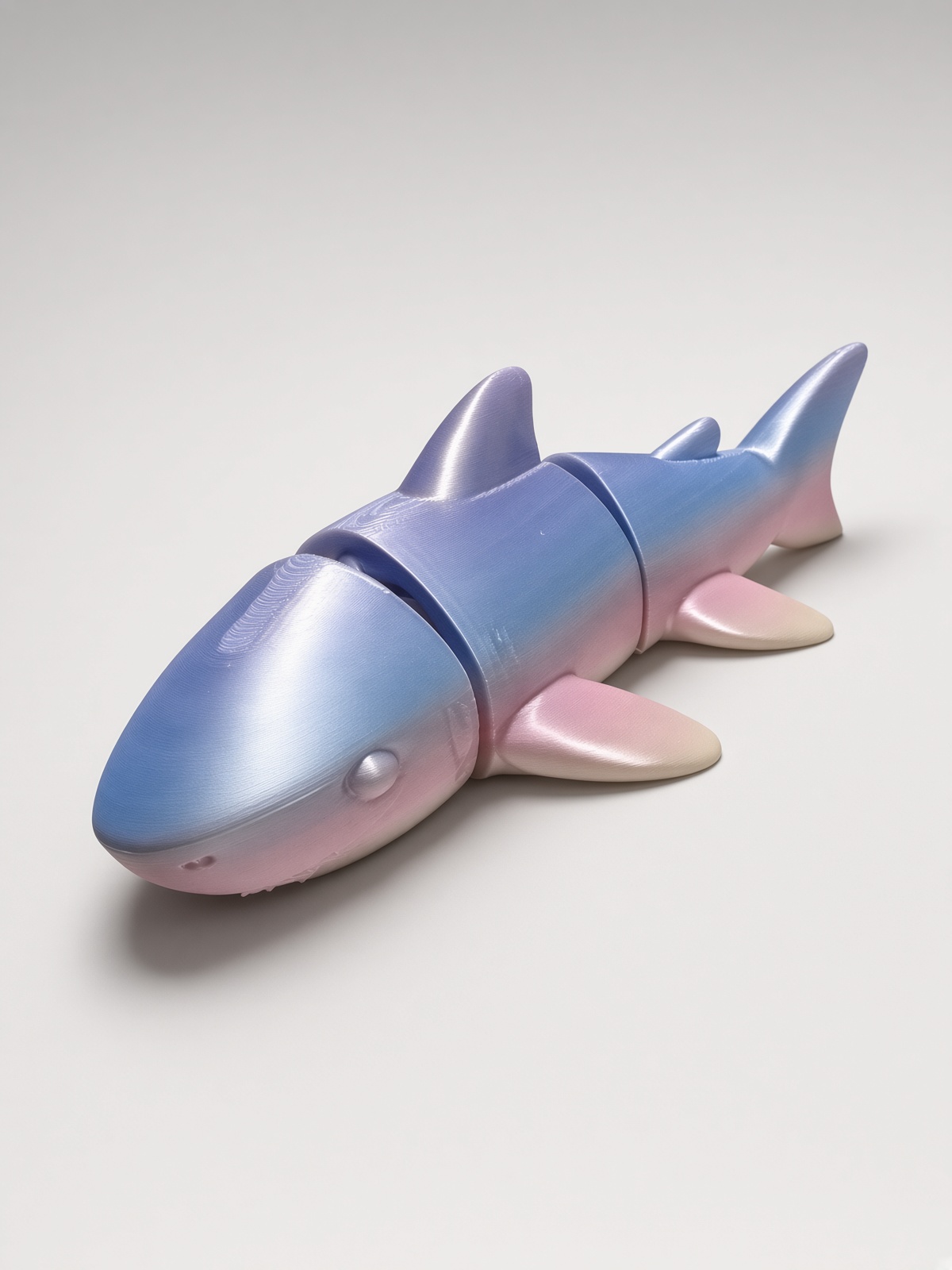 Rainbow Chomper the Shark