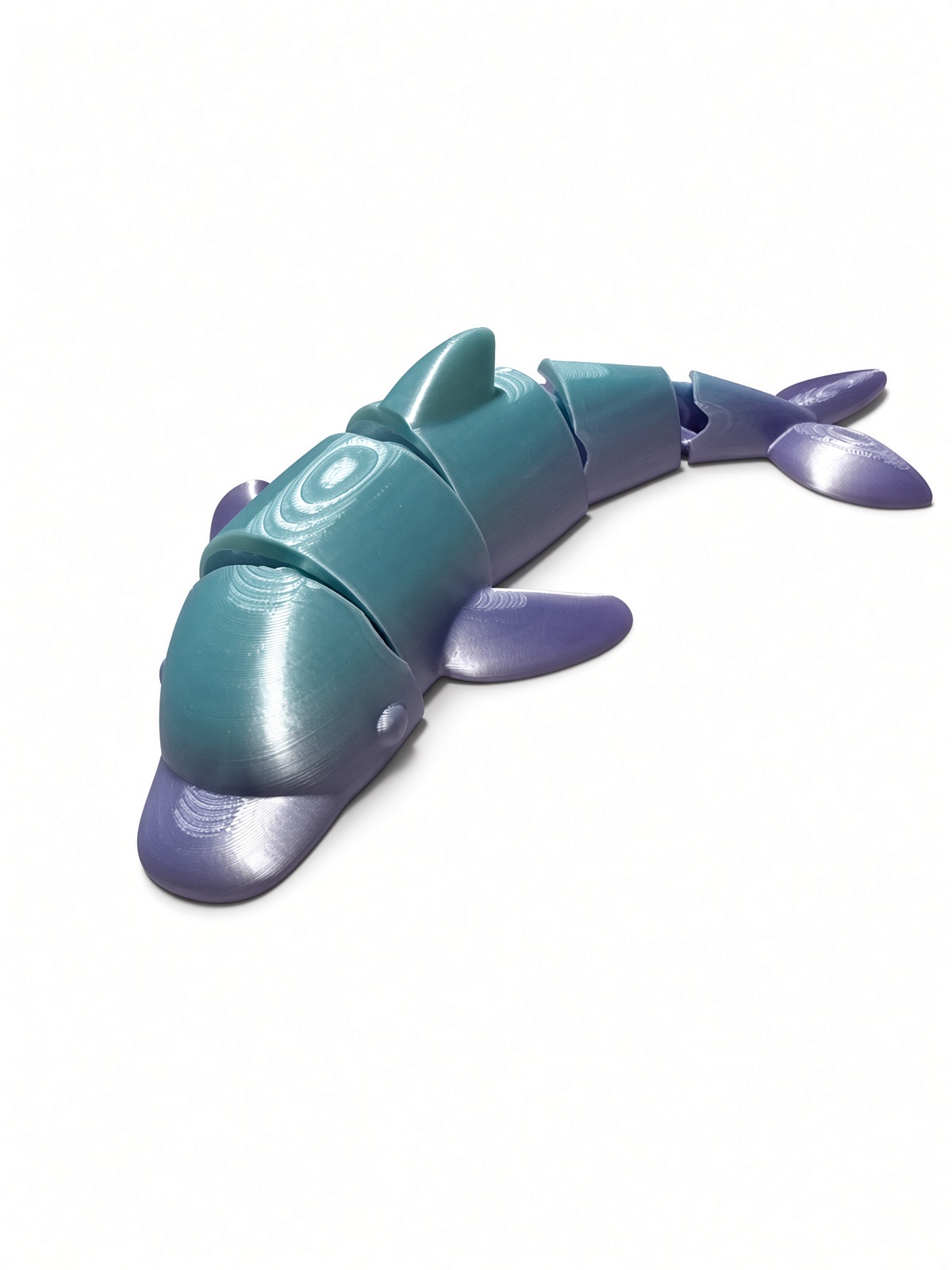 Rainbow Flip the Dolphin